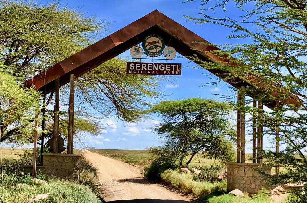 Serengeti